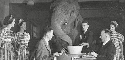 Sam Hood - The Elephant in the Room