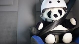 panda toy belt 230px