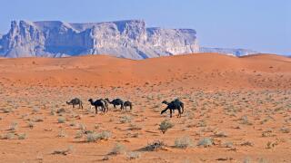 red sands,saudi arabia