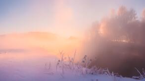 Sunny winter morning. Sun shines through fog at snow. Vivid christmas light.