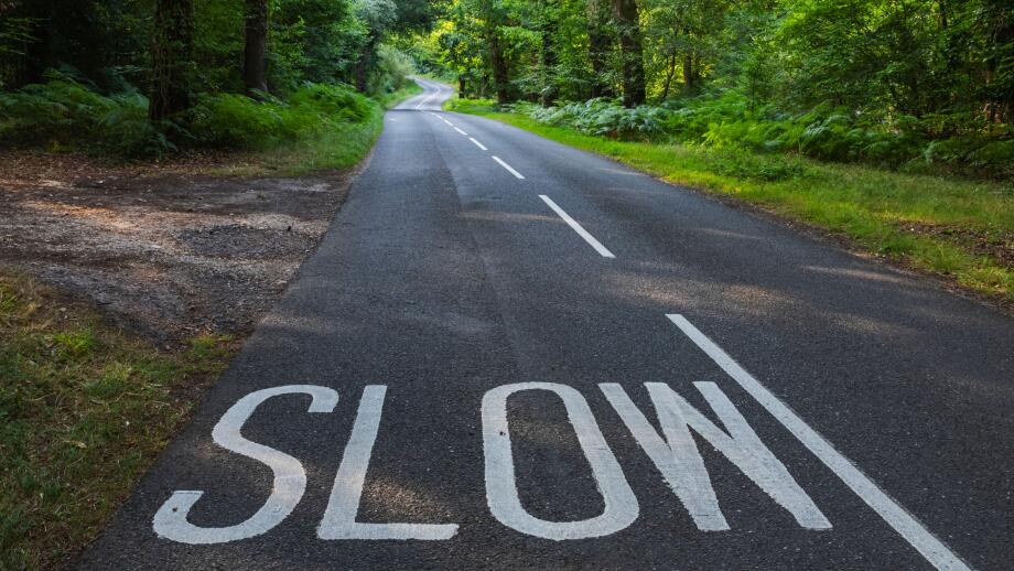 England, Hampshire, New Forest, Empty Road with Slow Sign and Trees
