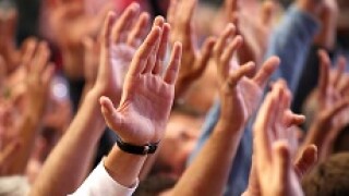 Crowd_hands_230px