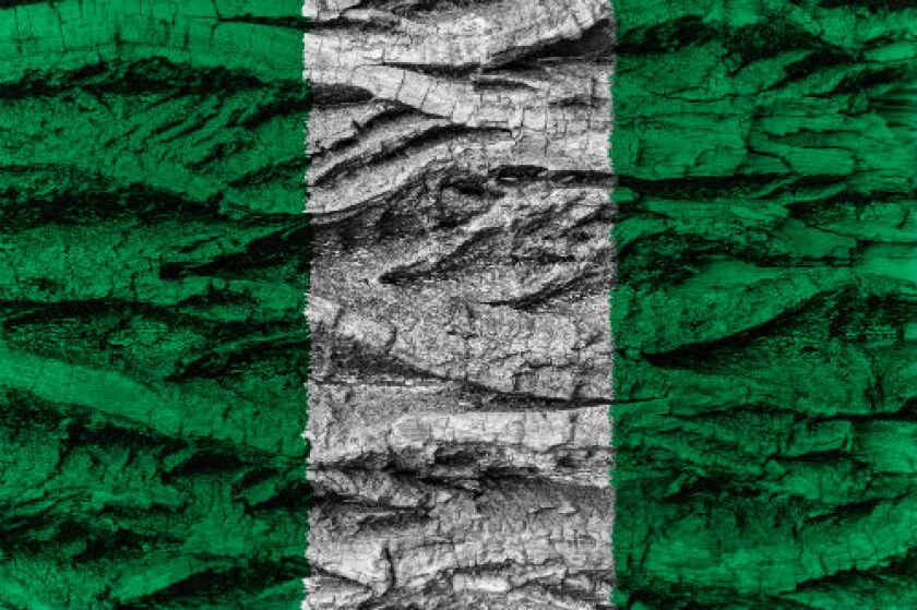 nigerian-flag-for-ifis.jpg