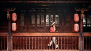 yunnan bai style china px230