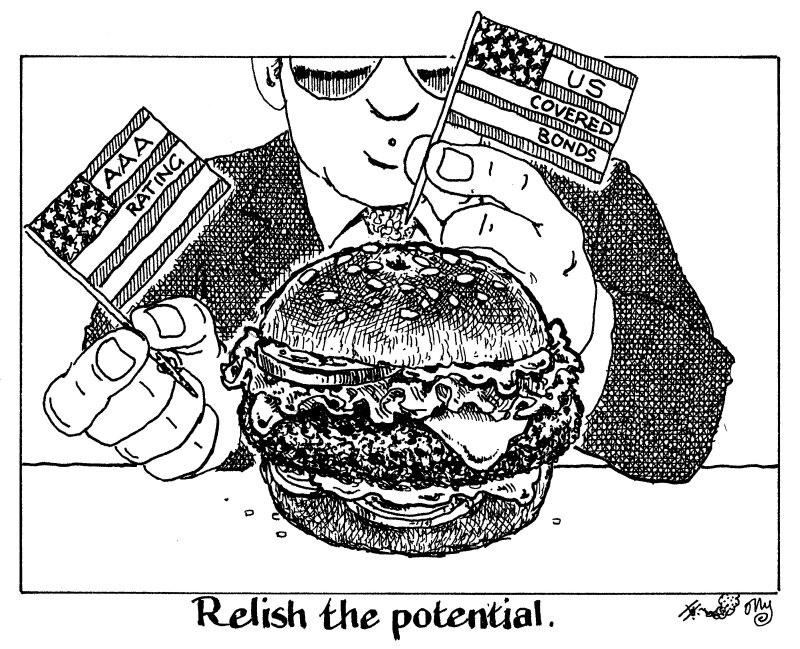 GlobalCapital US covered bonds potential 001.jpg