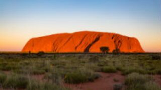 Aussie_fotolia_230x150
