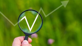 Arrow_rise_green_Adobe_575x375_290720