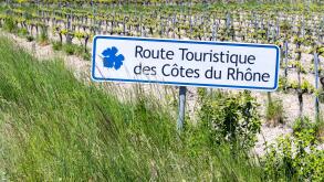 Typical vineyard with Wine road (Route Touristique des Cotes du Rhone) near Faucon, Cotes du Rhone, France