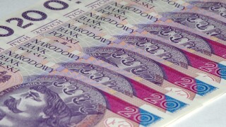 Polish zloty notes.jpg